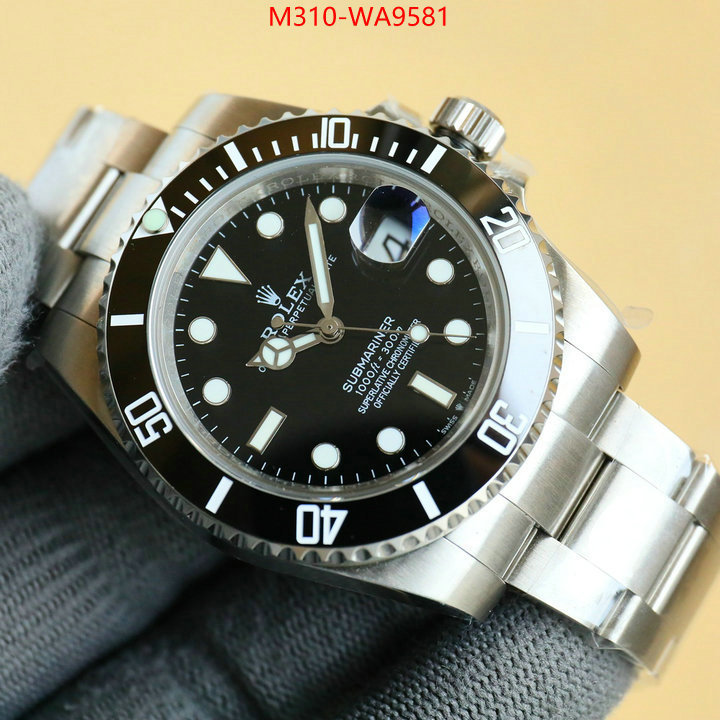 ID: WA9581