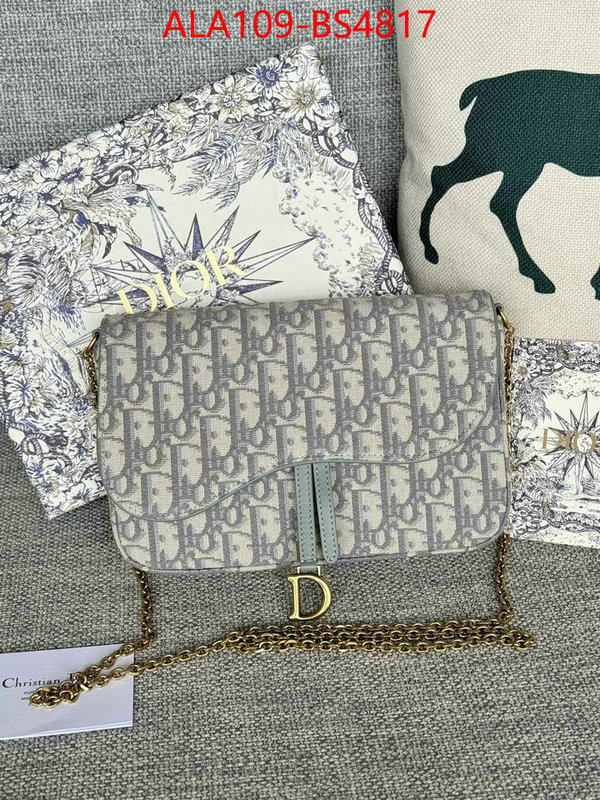 ID: BS4817 $: 109USD,