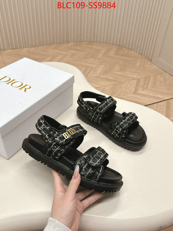 Women Shoes-Dior wholesale 2024 replica ID: SS9884 $: 109USD