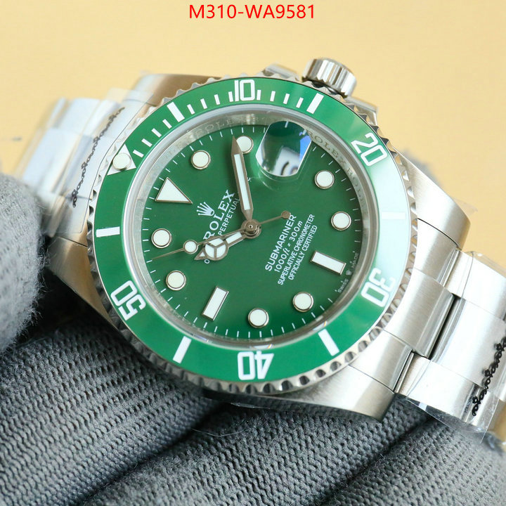ID: WA9581