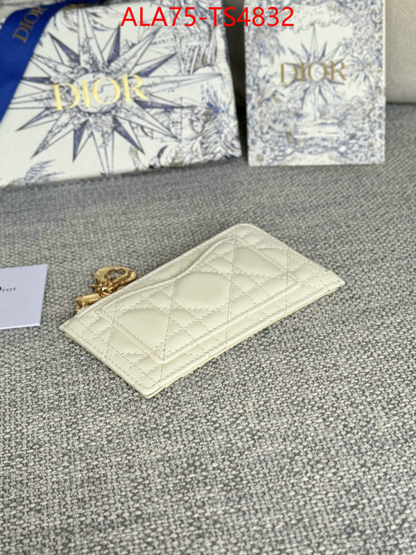 ID: TS4832 $: 75USD,