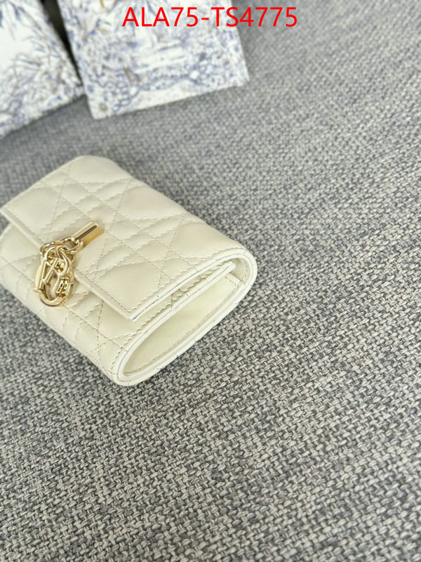ID: TS4775 $: 75USD,