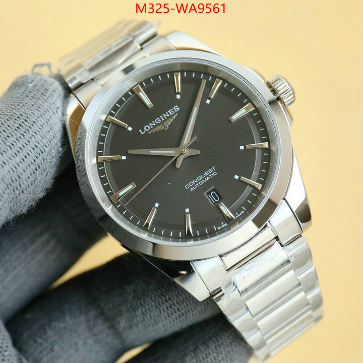 ID: WA9561