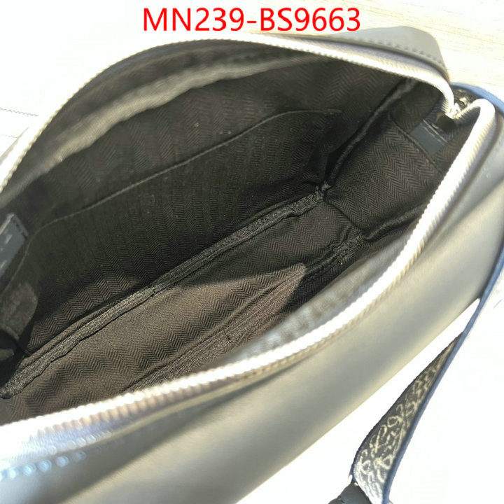 Loewe Bags(TOP)-Crossbody- luxury cheap ID: BS9663 $: 239USD,