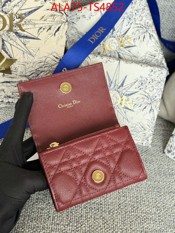 ID: TS4852 $: 75USD,