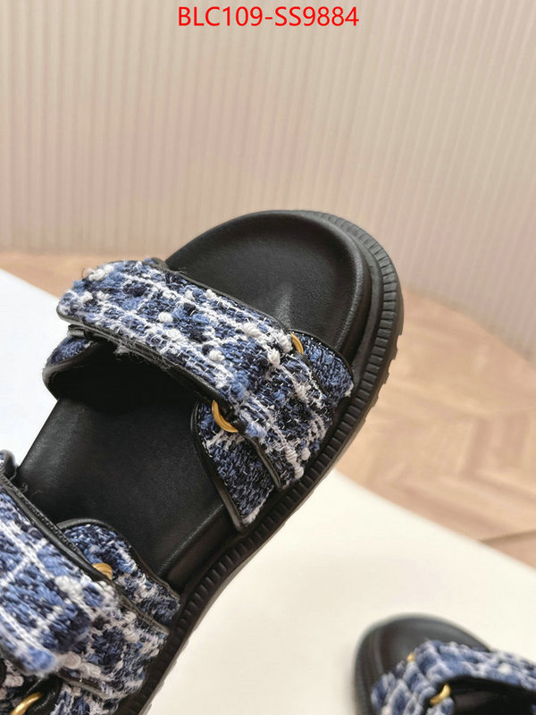 Women Shoes-Dior wholesale 2024 replica ID: SS9884 $: 109USD