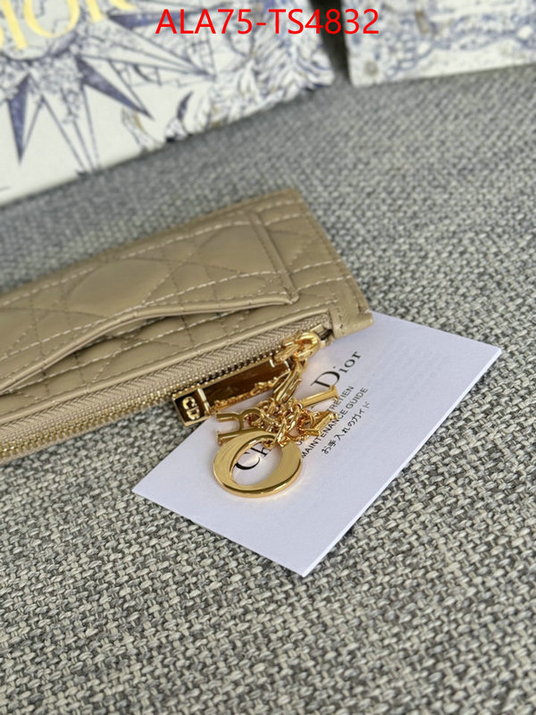 ID: TS4832 $: 75USD,