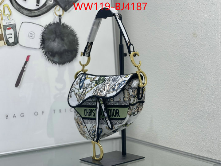 ID: BJ4187 $: 119USD,
