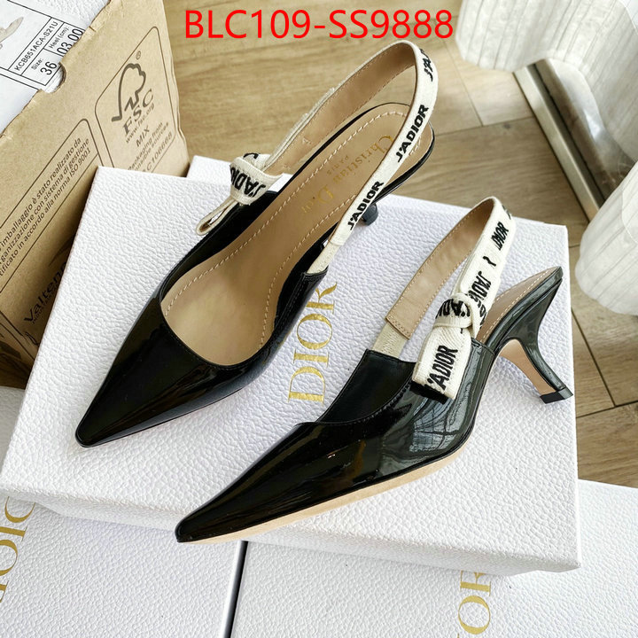 Women Shoes-Dior for sale cheap now ID: SS9888 $: 109USD