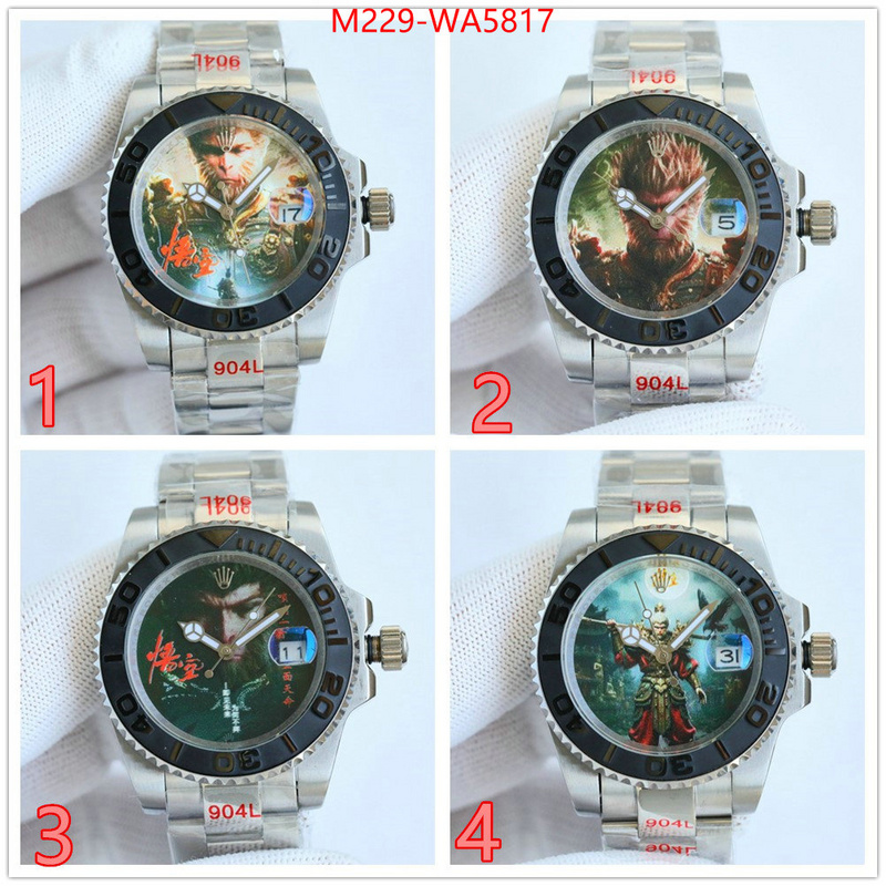 ID: WA5817