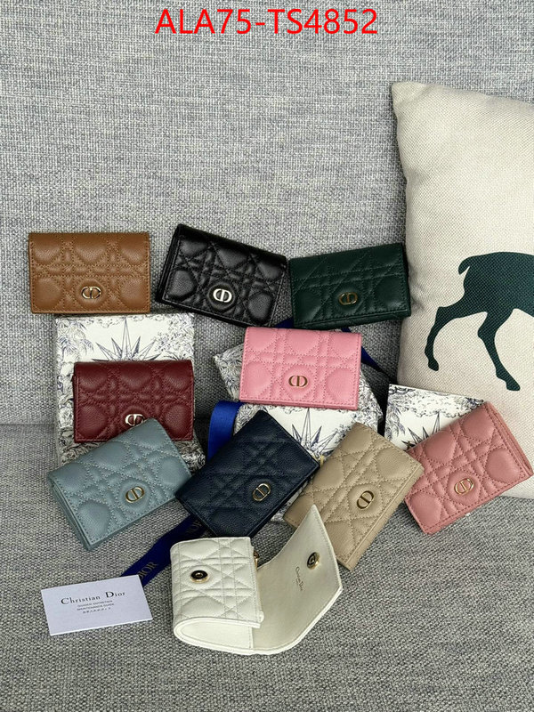 ID: TS4852 $: 75USD,