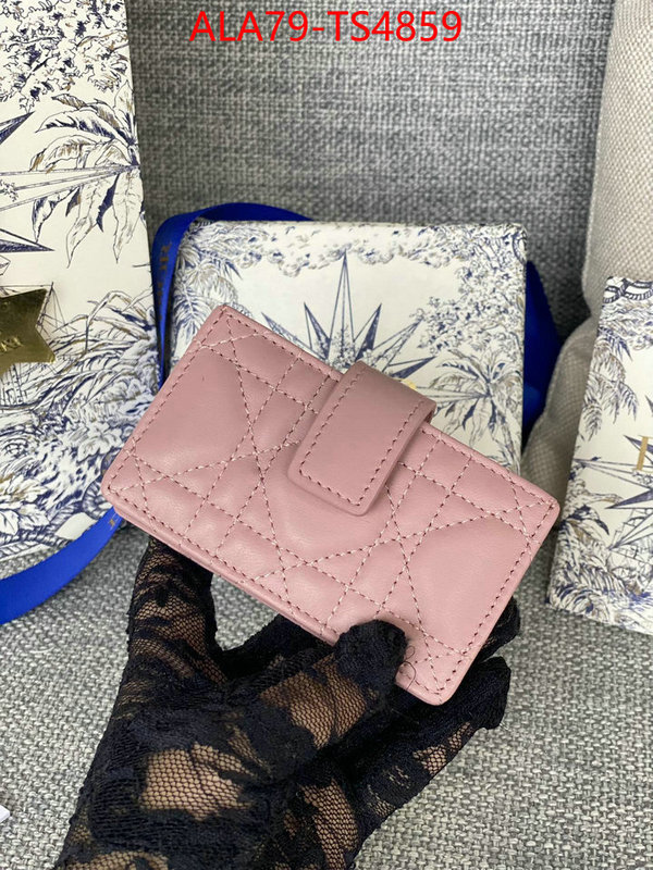 ID: TS4859 $: 79USD,