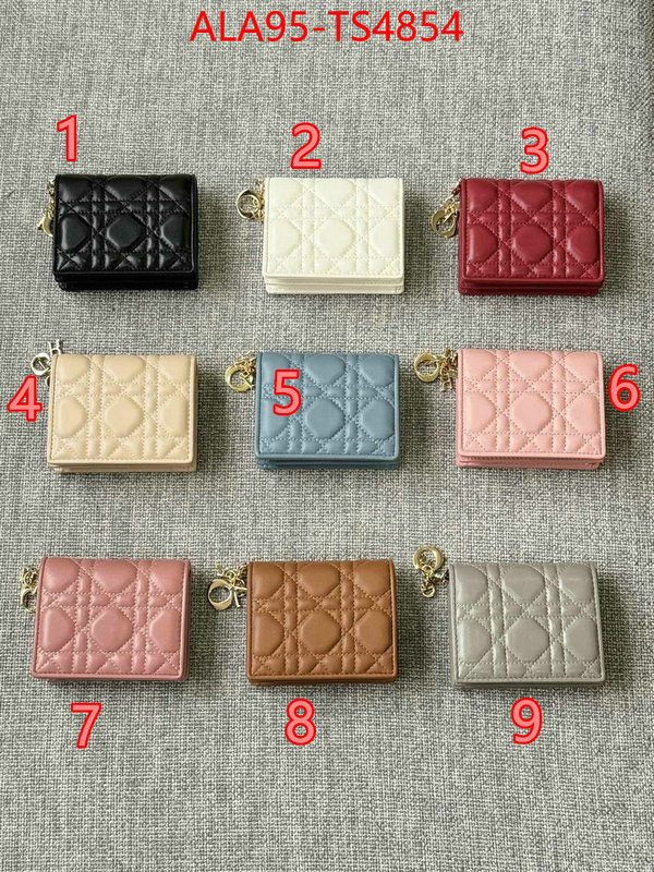 ID: TS4854 $: 95USD,