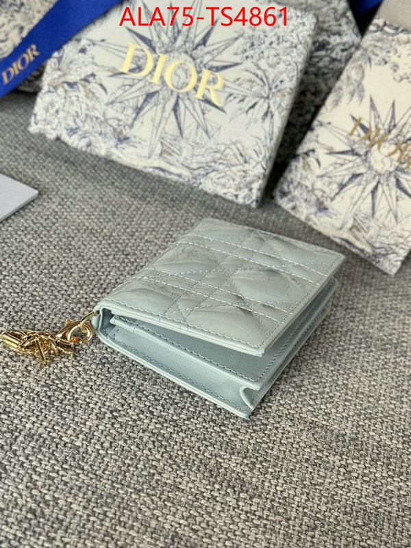 ID: TS4861 $: 75USD,