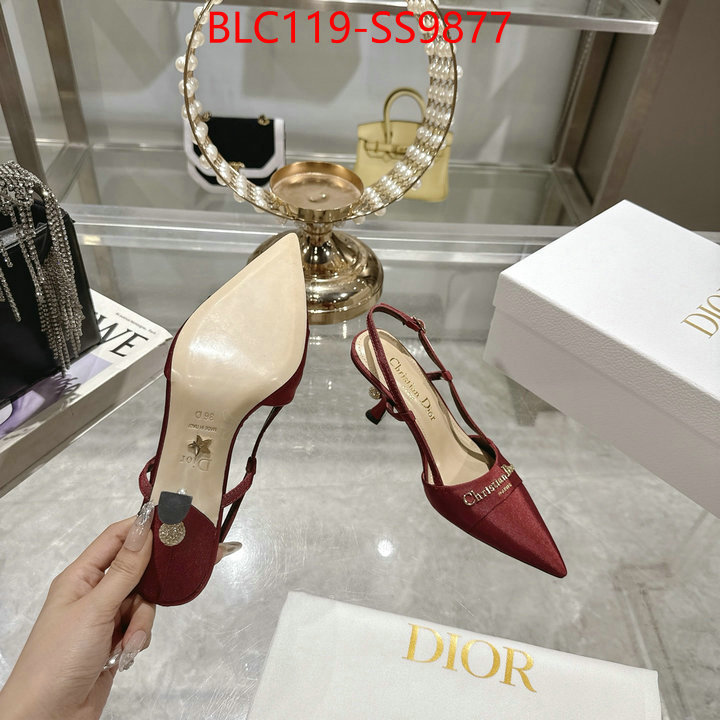 Women Shoes-Dior shop the best high authentic quality replica ID: SS9877 $: 119USD-shoes yupoo Women Shoes-Dior shop the best high authentic quality replica ID: SS9877 $: 119USD