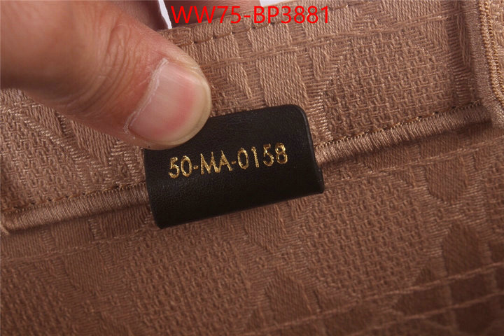 ID: BP3881 $: 75USD,