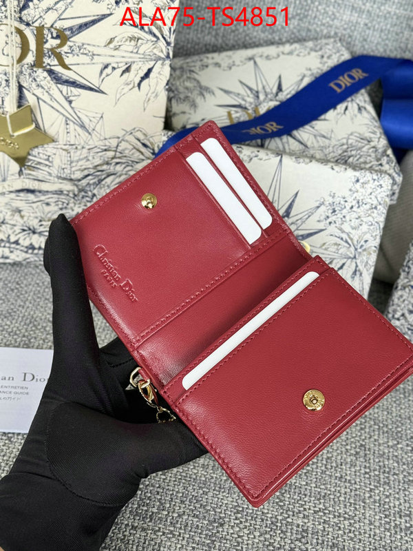 ID: TS4851 $: 75USD,
