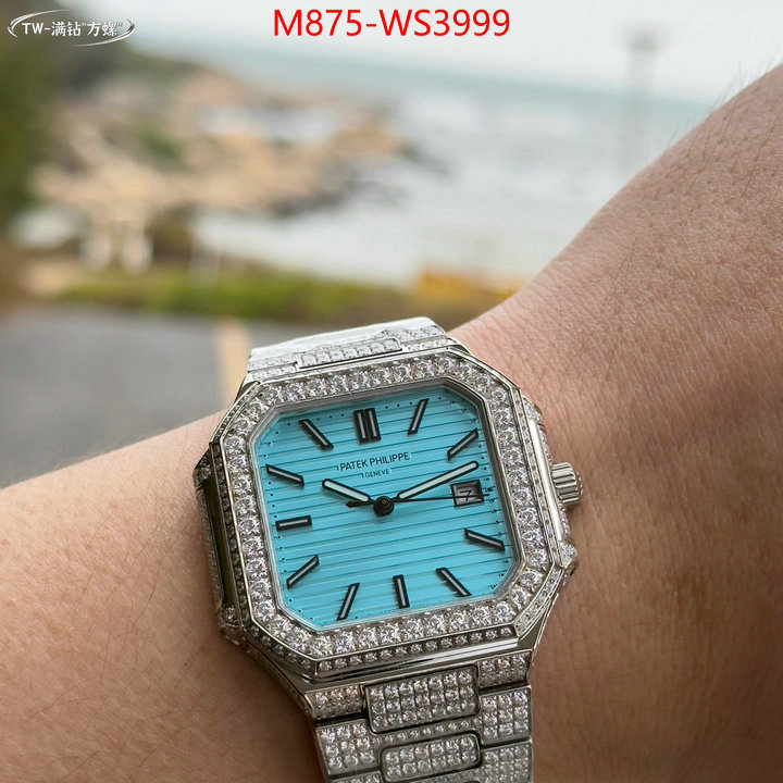 ID: WS3999