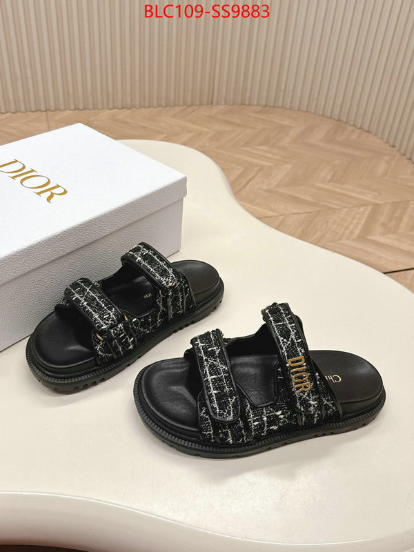 Women Shoes-Dior for sale online ID: SS9883 $: 109USD