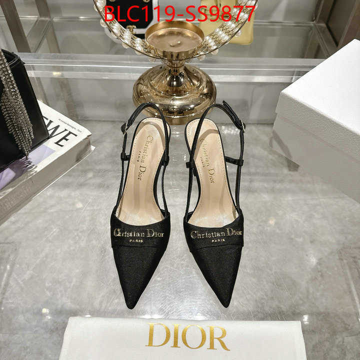 Women Shoes-Dior shop the best high authentic quality replica ID: SS9877 $: 119USD-shoes yupoo Women Shoes-Dior shop the best high authentic quality replica ID: SS9877 $: 119USD