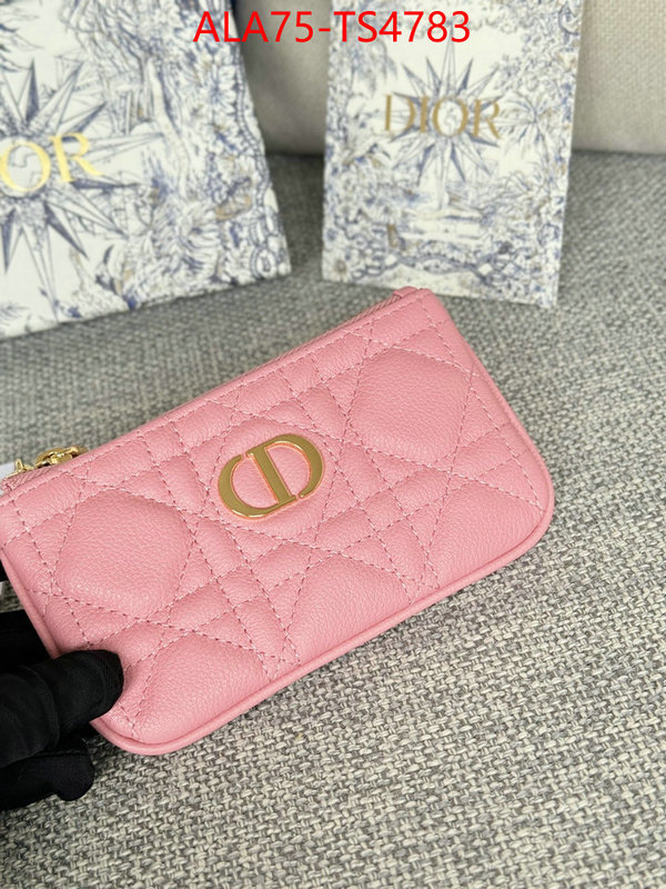 ID: TS4783 $: 75USD,