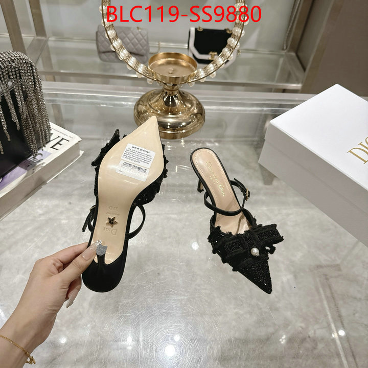 Women Shoes-Dior store ID: SS9880 $: 119USD