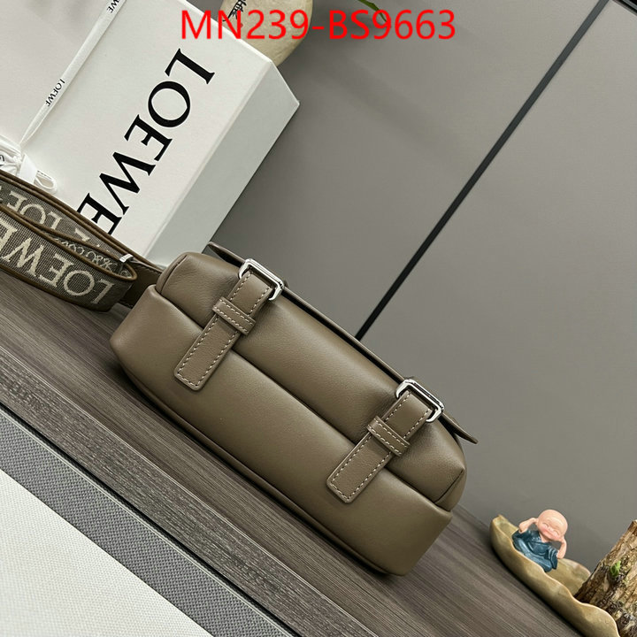 Loewe Bags(TOP)-Crossbody- luxury cheap ID: BS9663 $: 239USD,