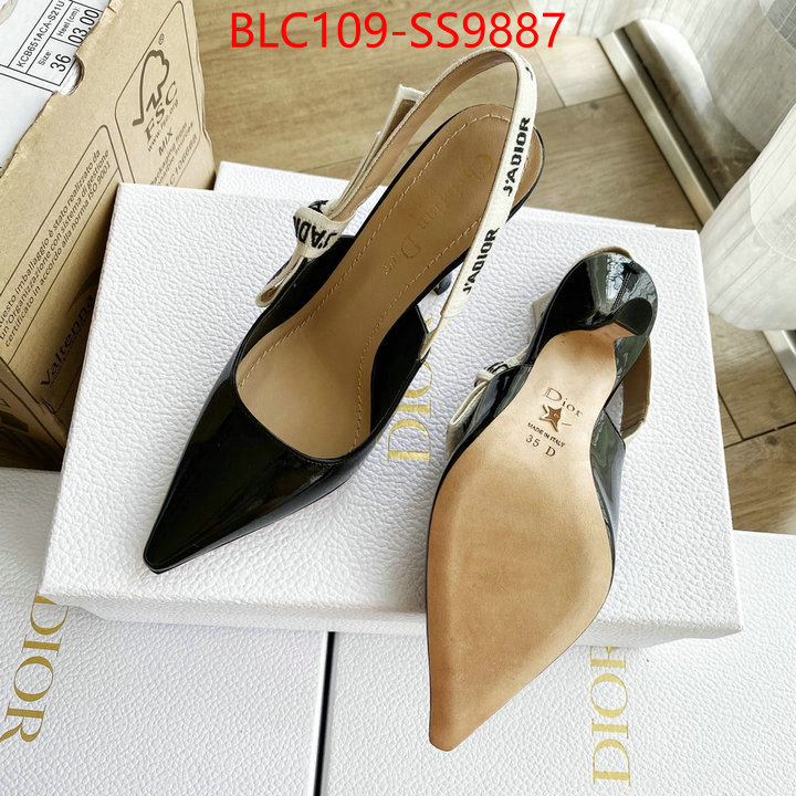 Women Shoes-Dior replica ID: SS9887 $: 109USD