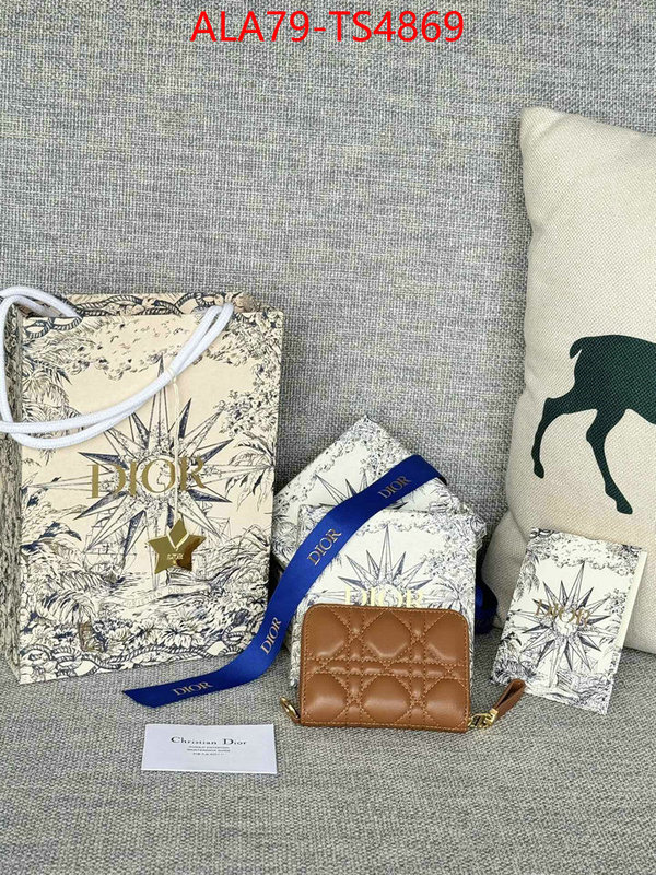 ID: TS4869 $: 79USD,