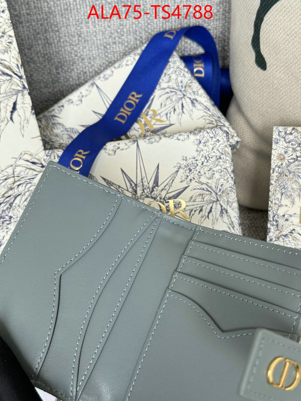 ID: TS4788 $: 75USD,
