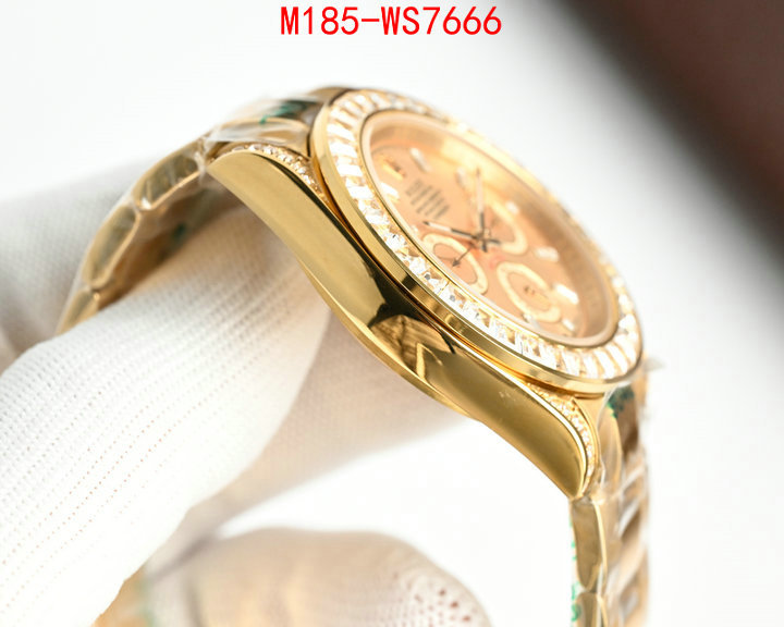 ID: WS7666