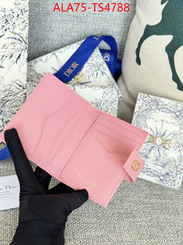 ID: TS4788 $: 75USD,