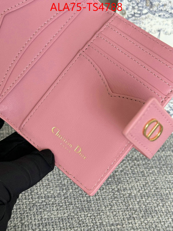 ID: TS4788 $: 75USD,