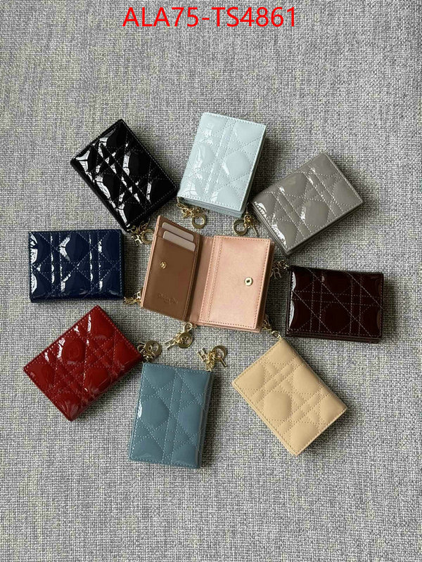 ID: TS4861 $: 75USD,