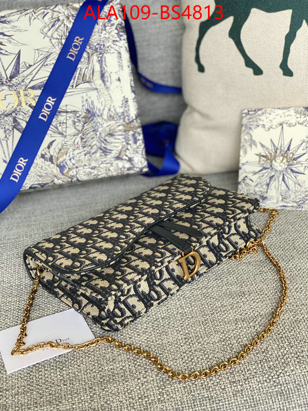 ID: BS4813 $: 109USD,