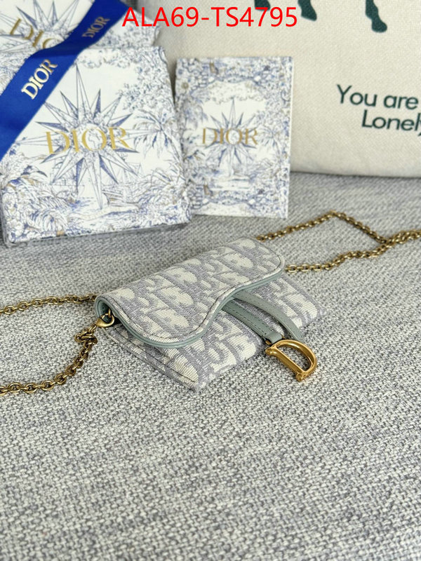 ID: TS4795 $: 69USD,