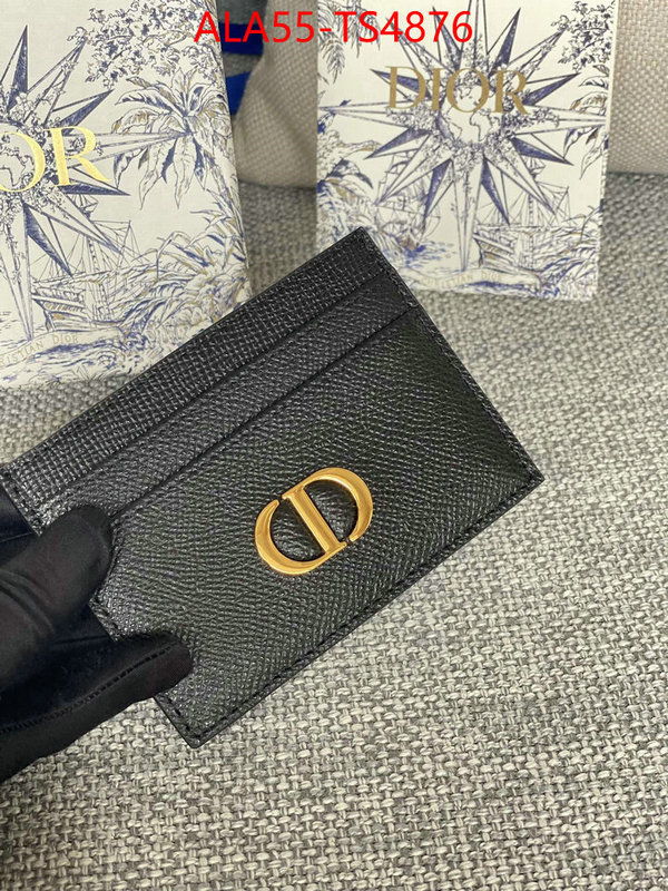 ID: TS4876 $: 55USD,