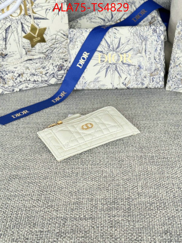 ID: TS4829 $: 75USD,