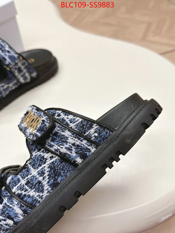 Women Shoes-Dior for sale online ID: SS9883 $: 109USD