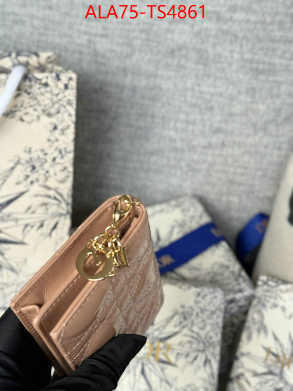 ID: TS4861 $: 75USD,