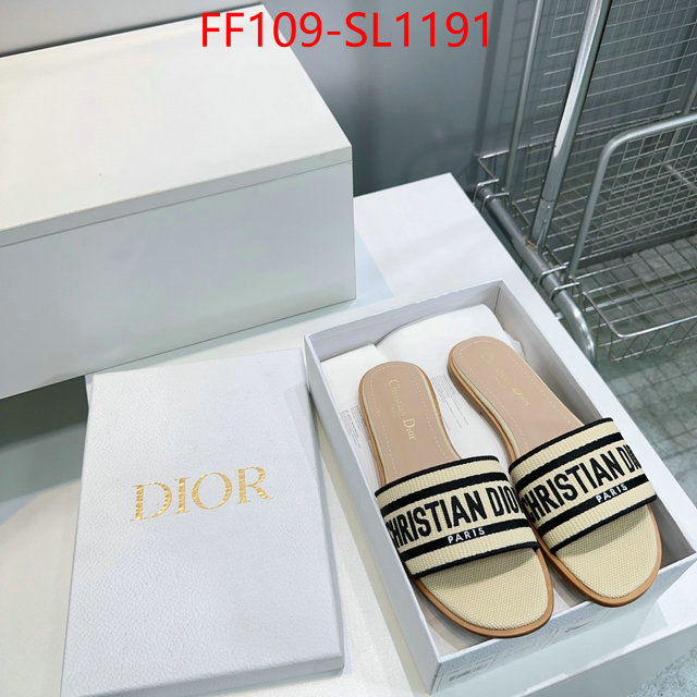 Women Shoes-Dior where to buy high quality ID: SL1191 $: 109USD
