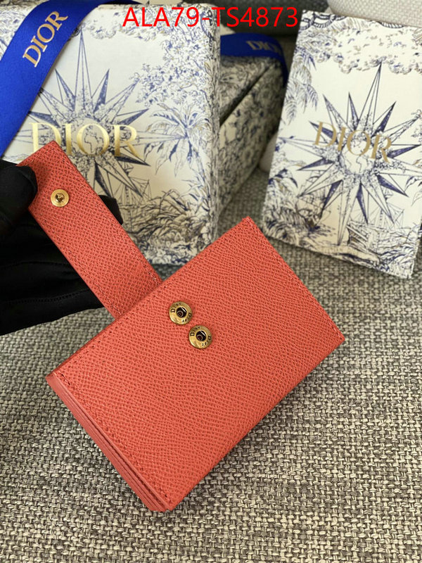 ID: TS4873 $: 79USD,