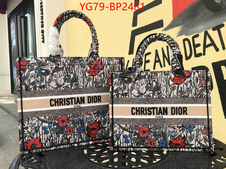 ID: BP2481