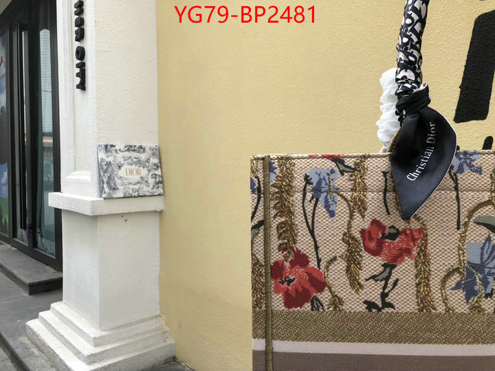 ID: BP2481