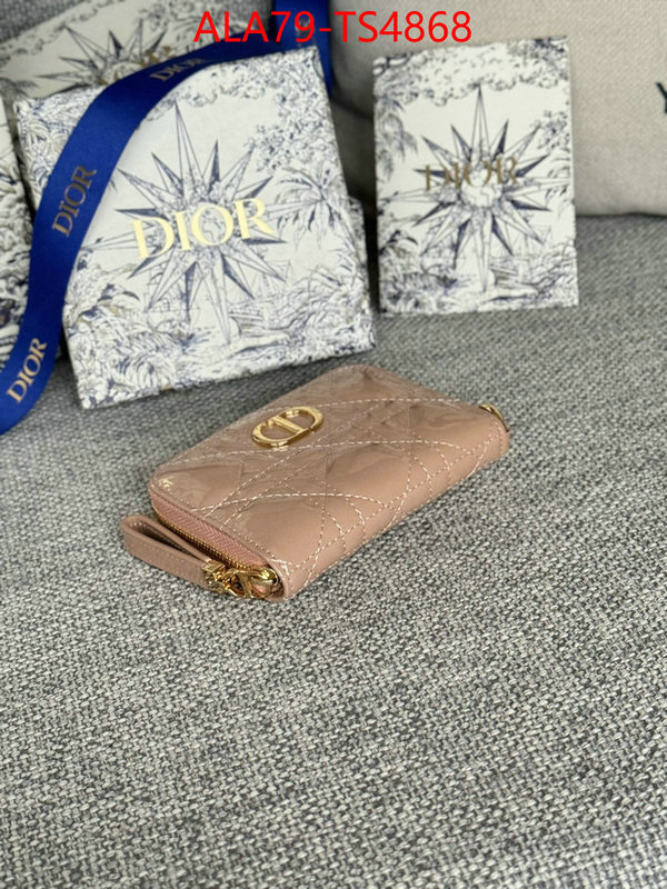 ID: TS4868 $: 79USD,