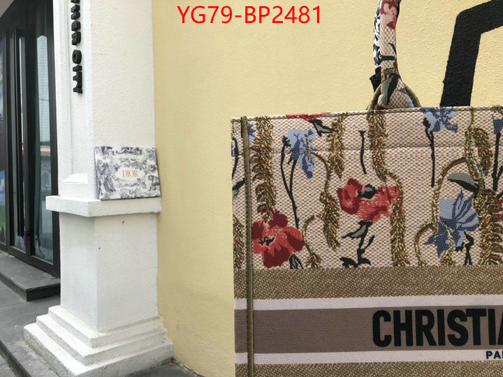 ID: BP2481