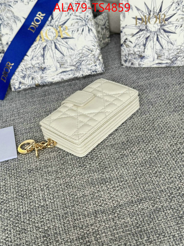 ID: TS4859 $: 79USD,