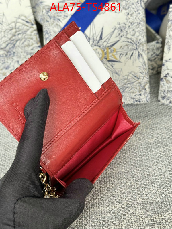 ID: TS4861 $: 75USD,