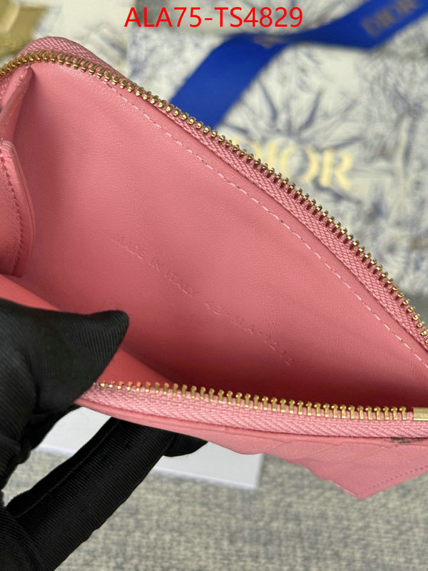 ID: TS4829 $: 75USD,