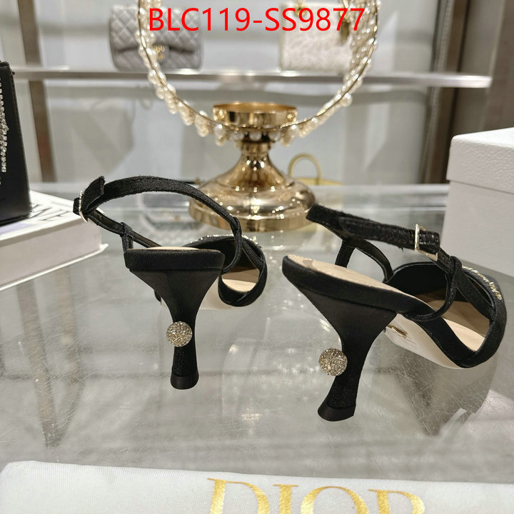 Women Shoes-Dior shop the best high authentic quality replica ID: SS9877 $: 119USD-shoes yupoo Women Shoes-Dior shop the best high authentic quality replica ID: SS9877 $: 119USD